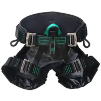 CADEIRINHA CANION- INNOVA SAFETY - imagem 1