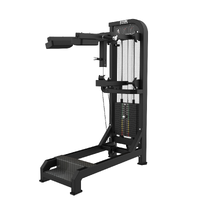 PANTURRILHA EM PÉ COM CARGA - imagem 1