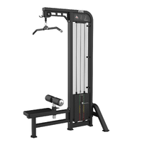 PUXADOR COSTAS E TRICEPS COM CARGA - imagem 1