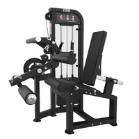 FLEXORA / EXTENSORA CONJUGADA COM CARGA - imagem 1