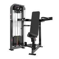 DESENVOLVIMENTO DE OMBROS COM CARGA - imagem 1