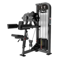 ELEVAÇÃO LATERAL COM CARGA - imagem 1