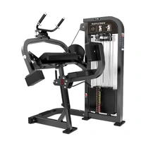 TRICEPS COM CARGA - imagem 1