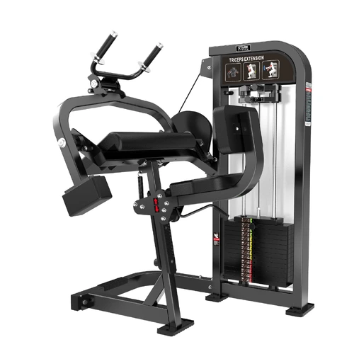 HS10BR - TRICEPS COM CARGA