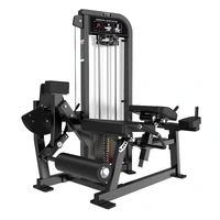 FLEXORA CAMA / EXTENSORA CONJUGADA COM CARGA - imagem 1