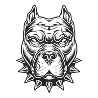 SOSTheBalcka - imagem 3