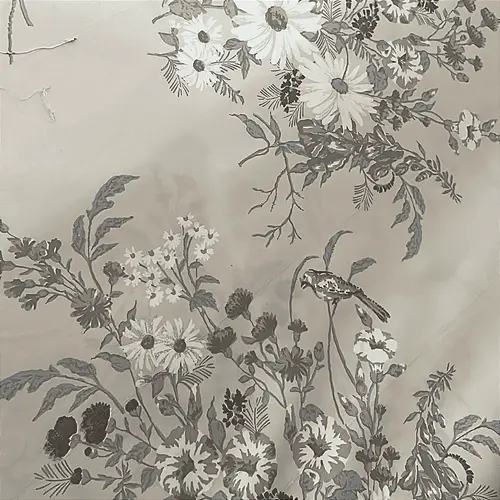 Percal 300 Fios Estampado Poliéster - Margarida Fundo Bege - 2,50m de Largura