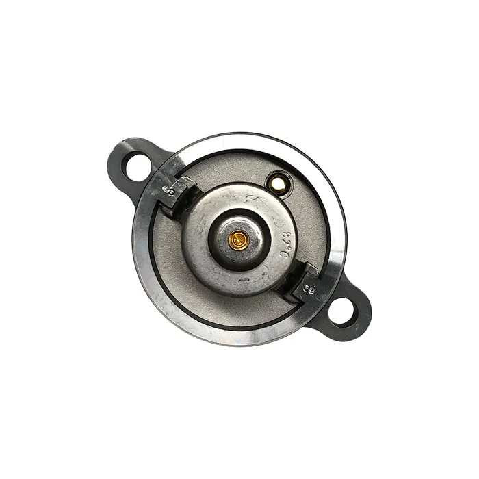 4133L501 / Válvula Termostática Motor Perkins