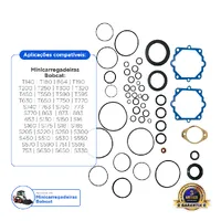 6671516 / Kit Reparo Bomba Hidrostática Aplicável Bobcat - 6671516 - imagem 2