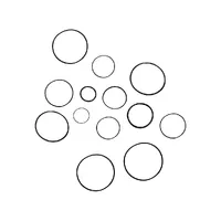 6671516 / Kit Reparo Bomba Hidrostática Aplicável Bobcat - 6671516 - imagem 3