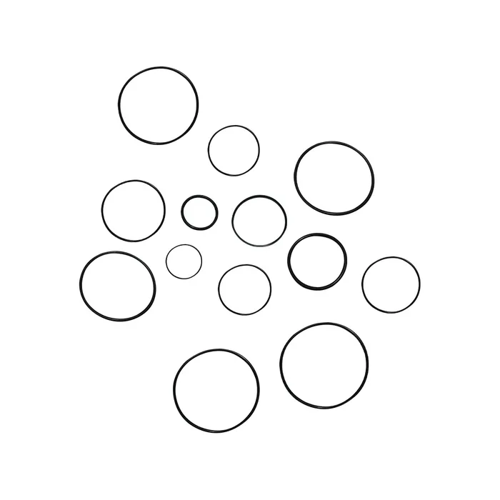 6671516 / Kit Reparo Bomba Hidrostática Aplicável Bobcat - 6671516