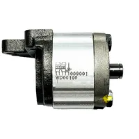 5161711 / Bomba Hidráulica Trator New Holland - imagem 6