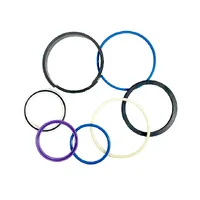 99100146 / Kit De Reparo Do Cilindro Retroescavadeira JCB - imagem 2