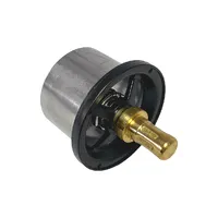504096443 / Válvula Termostática Radiador Aplicável New Holland/Case - imagem 1