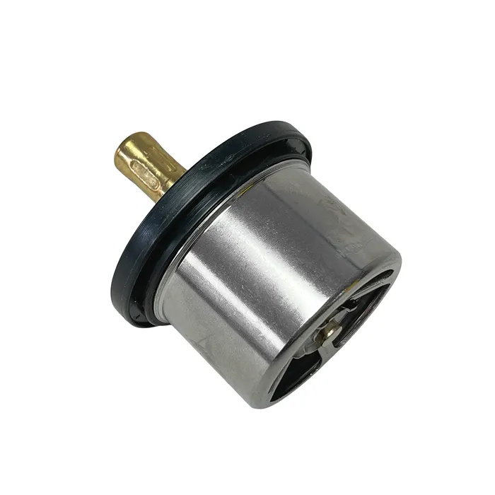 504096443 / Válvula Termostática Radiador Aplicável New Holland/Case