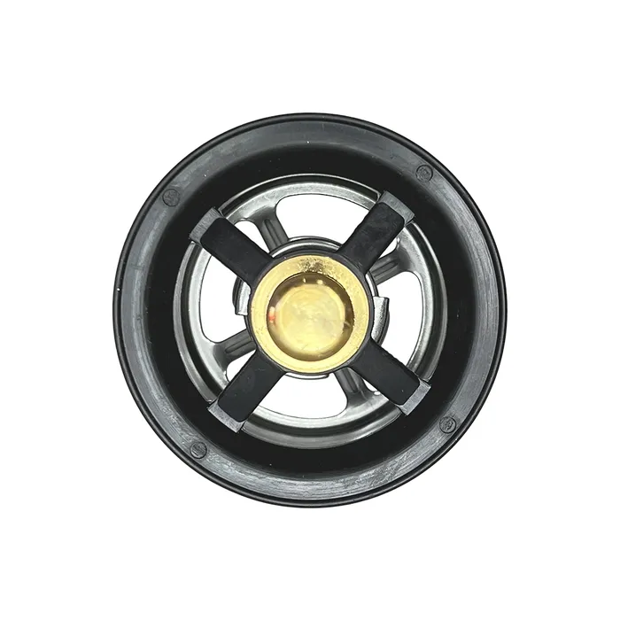 504096443 / Válvula Termostática Radiador Aplicável New Holland/Case
