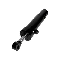 87641565 / Cilindro Do Pistão De Flutuação Colheitadeira New Holland - imagem 1