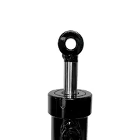 87641565 / Cilindro Do Pistão De Flutuação Colheitadeira New Holland - imagem 7