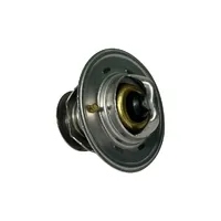 98463638 / Válvula Termostática Aplicável New Holland TT/TL - imagem 1