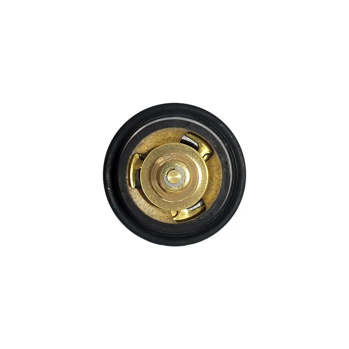 Dz100553 / Válvula Termostática Motor Aplicável John Deere