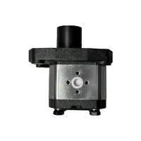 157490 / Bomba Hidráulica Simples Aplicável Trator Valtra/Valmet - imagem 1