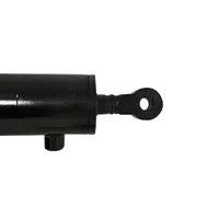 84071894 / Cilindro De Flutuação Colheitadeira New Holland - imagem 6