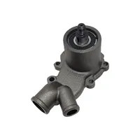 70990318 / Bomba D'Água Aplicável Trator Massey Ferguson - imagem 1