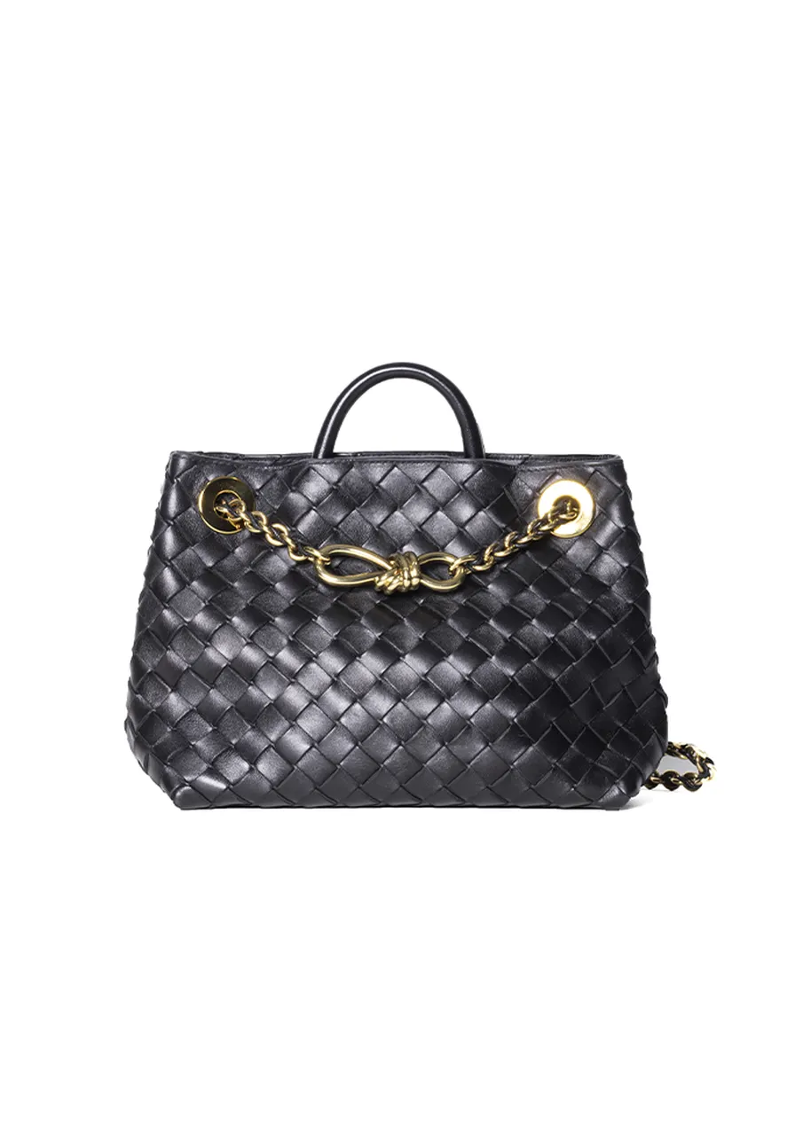 Bottega Veneta Andiamo Pequena 