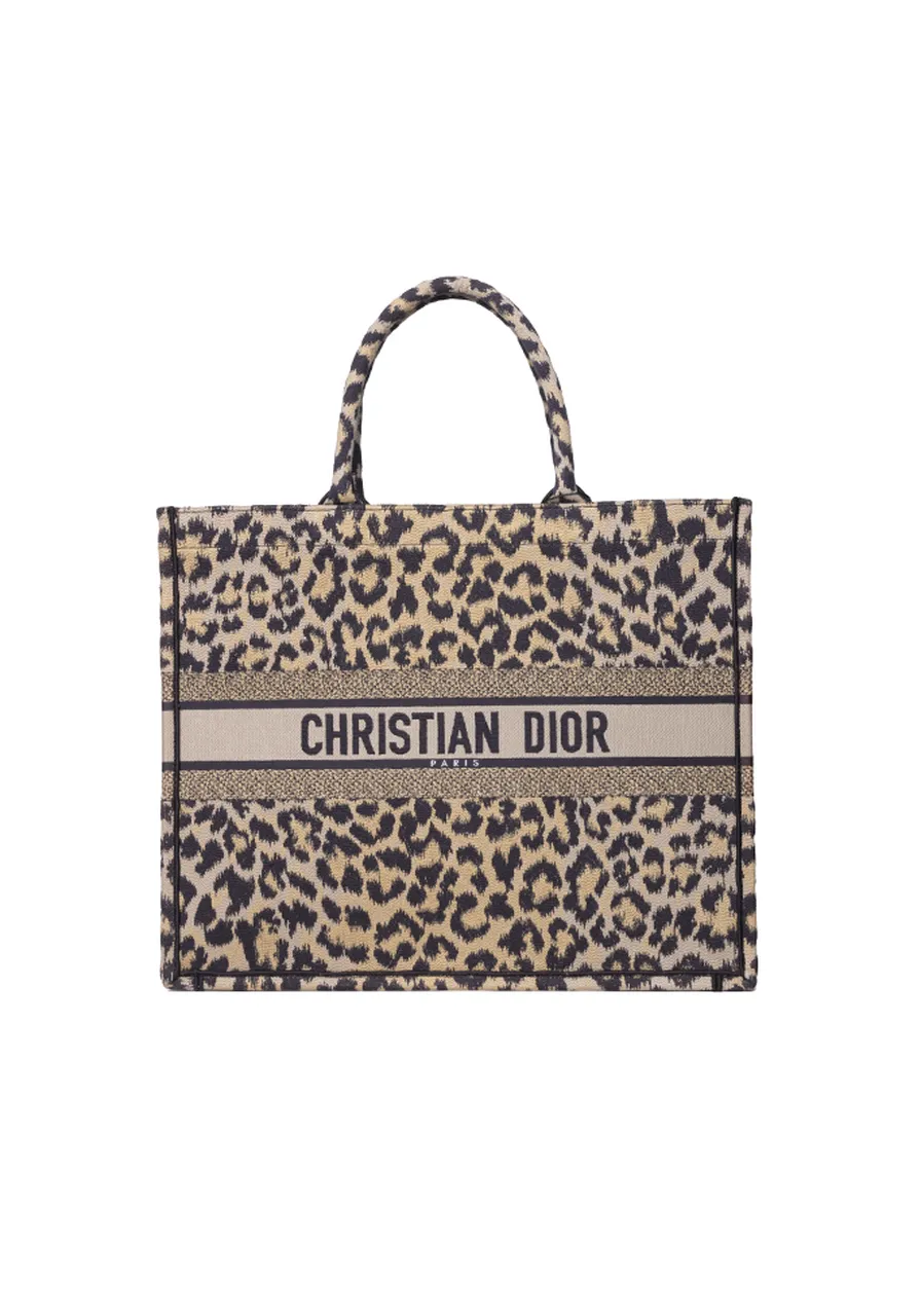 Christian Dior Book Tote 
