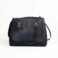 Coach Grey - imagem 5
