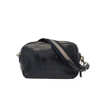 Coach Horse & Carriage  - imagem 1