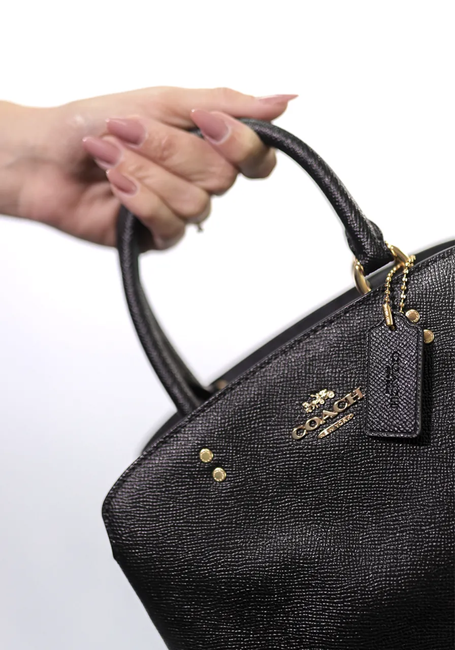 Coach Mini Lillie Carryal 