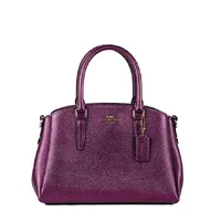 Coach Mini Sage Carryal Metalizada - imagem 1