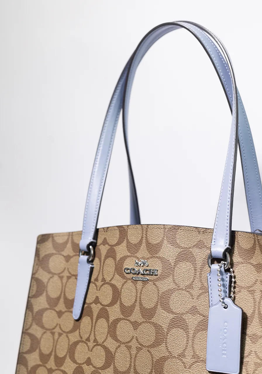 Coach Tote Carryall In Signature