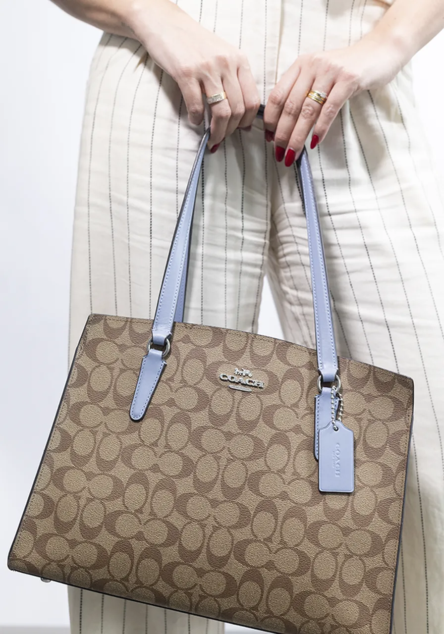 Coach Tote Carryall In Signature