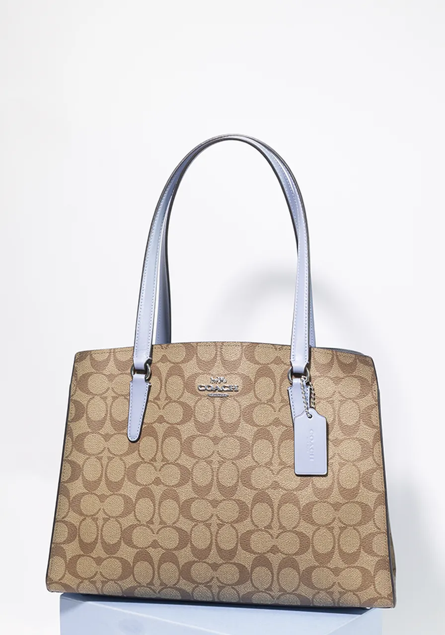 Coach Tote Carryall In Signature