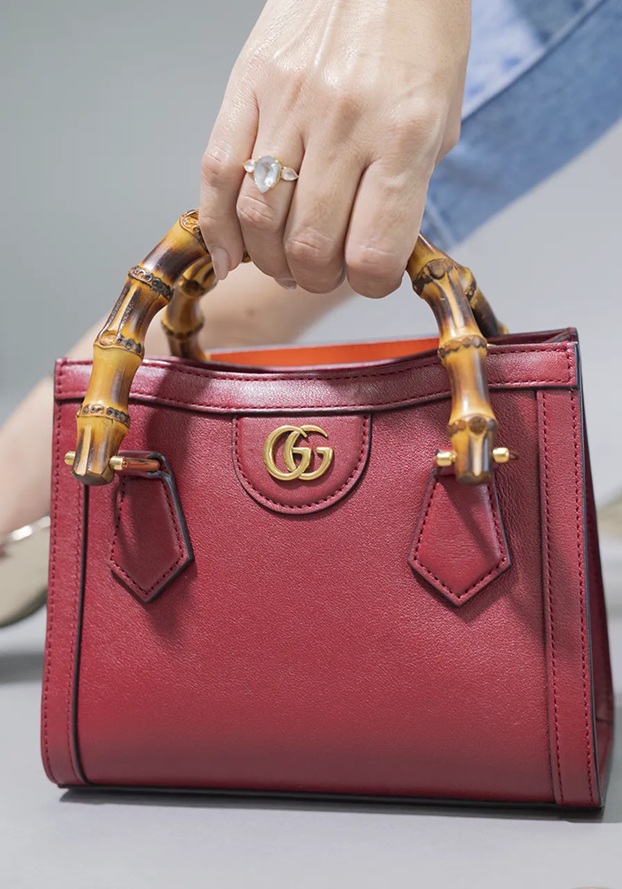 Gucci Mini Diana