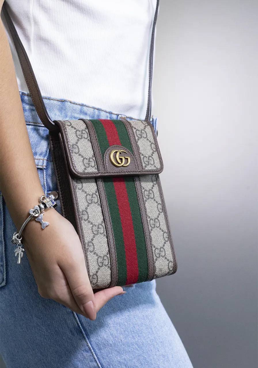 Gucci Ophidia GG Mini