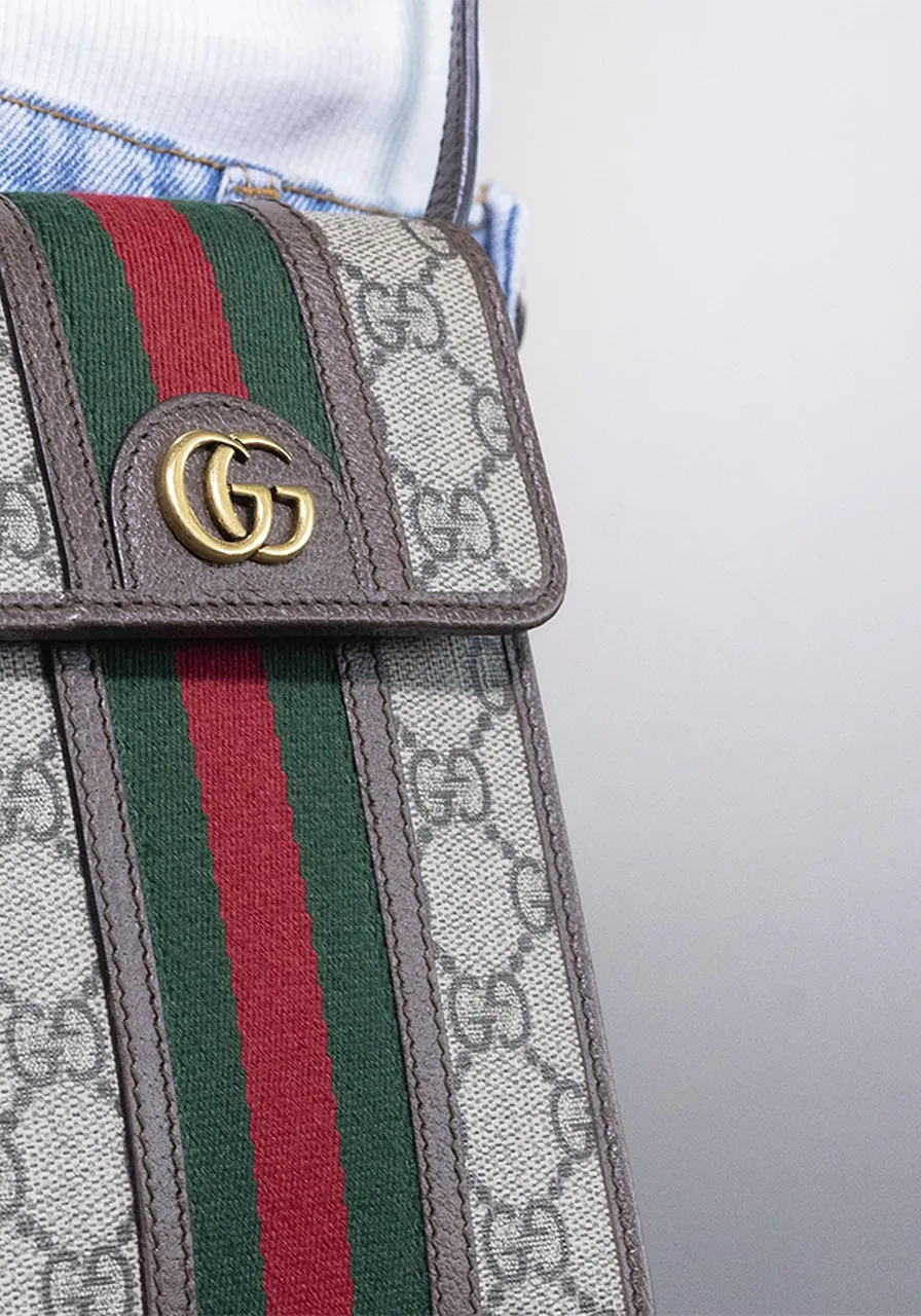 Gucci Ophidia GG Mini