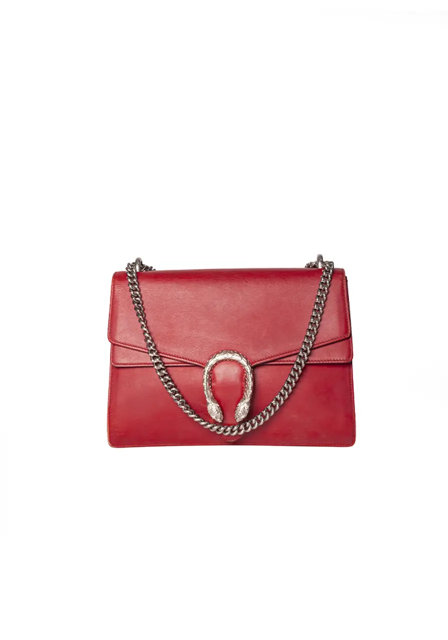 Gucci Dionysus Small 