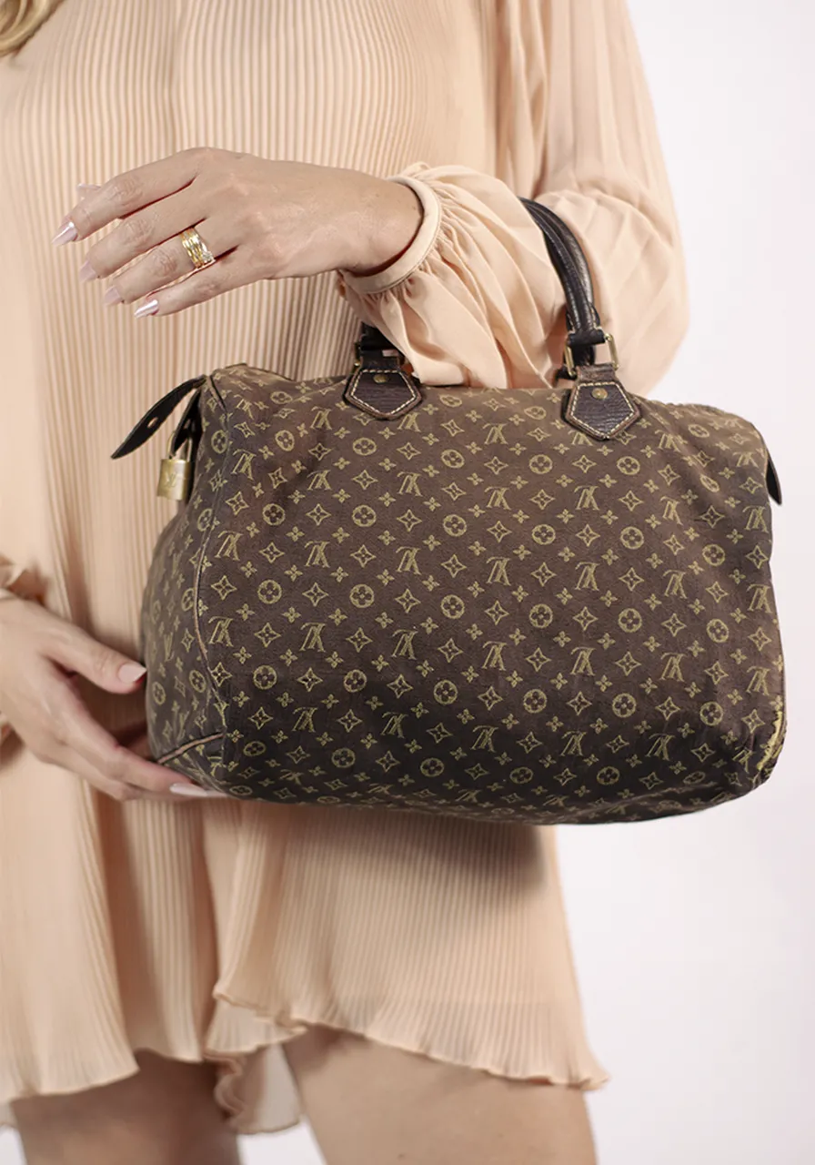 Louis Vuitton Mini Lin Speedy 30