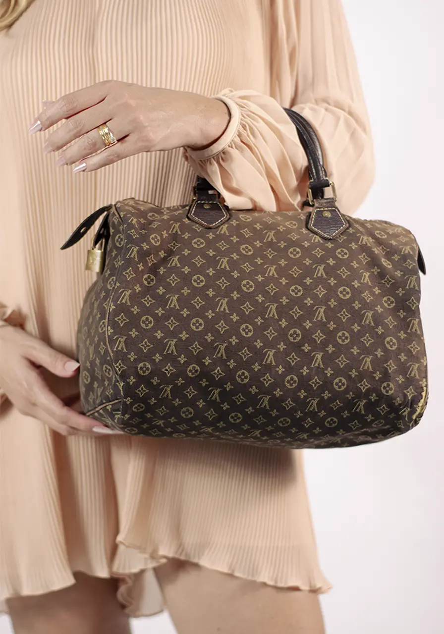Louis Vuitton Mini Lin Speedy 30