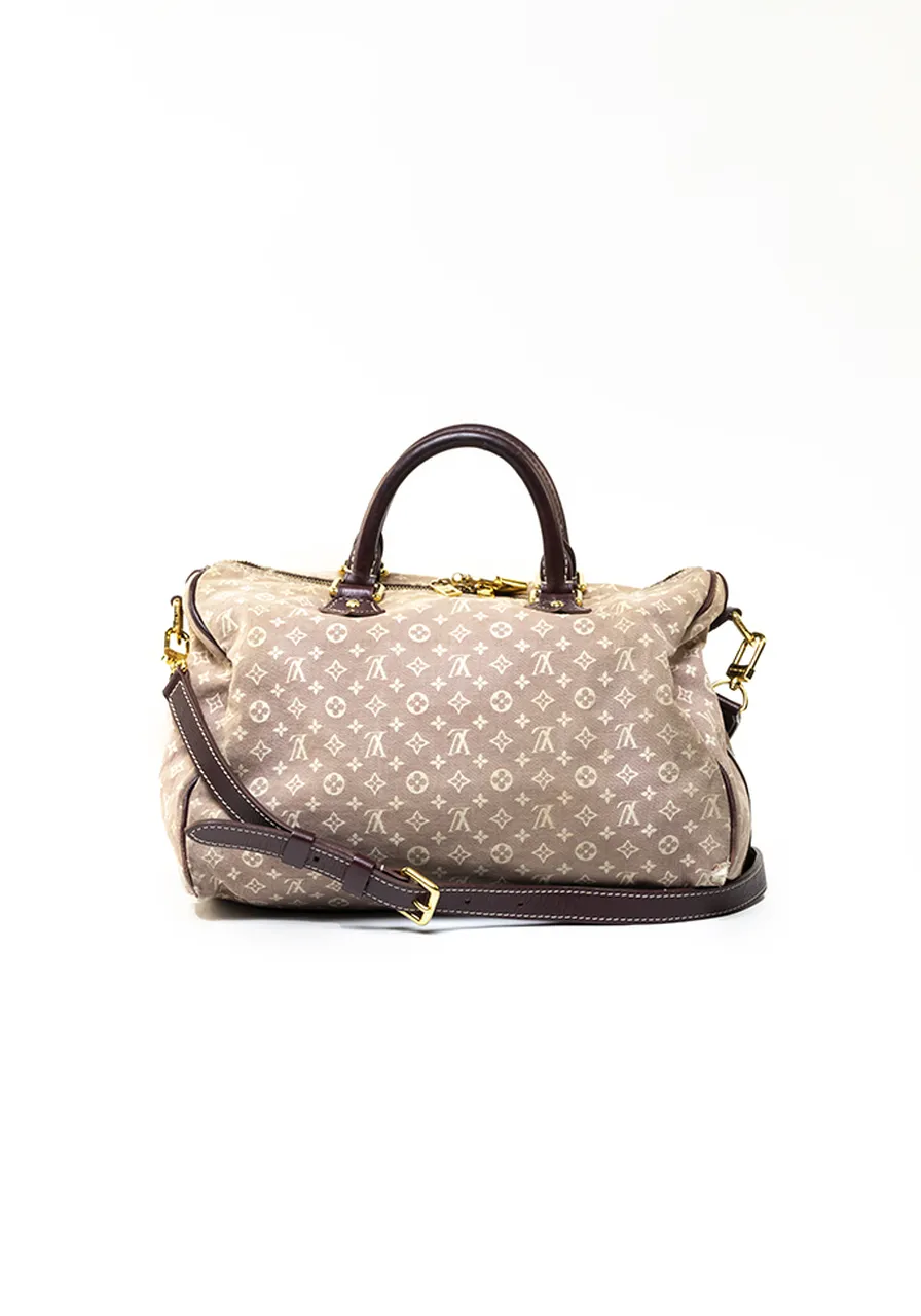 Louis Vuitton Mini Lin Speedy 30 