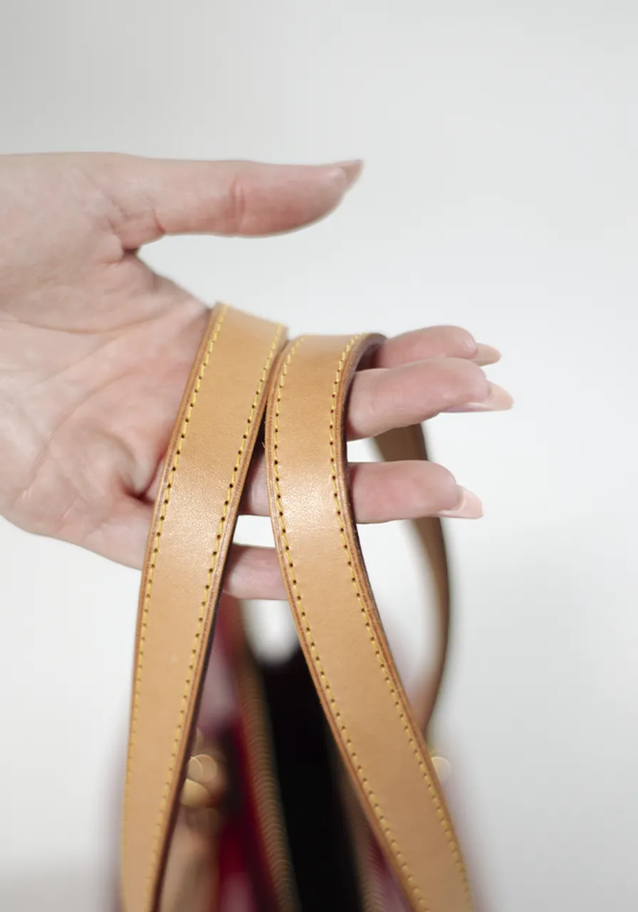 Louis Vuitton Monogram Rosewood Avenue 