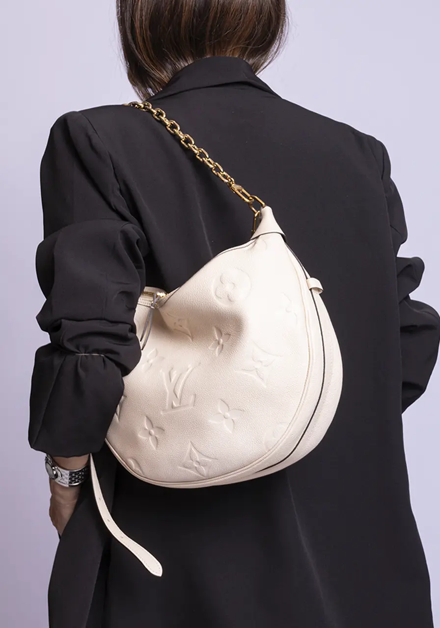 Louis Vuitton Hobo Loop 