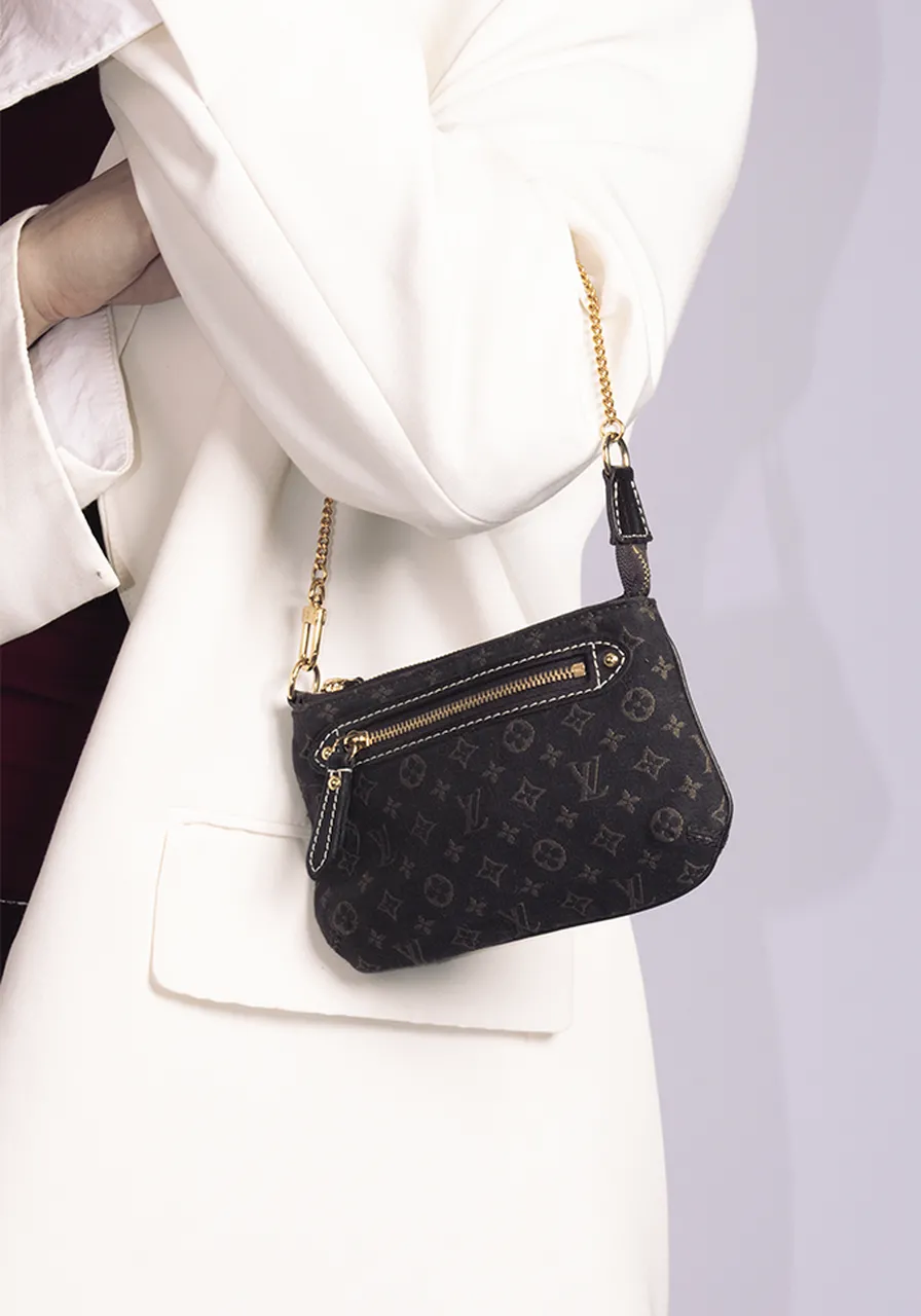 Louis Vuitton Pochette Mini Lin 