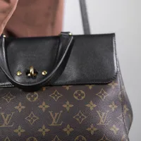 Louis Vuitton Venus Monogram - imagem 3