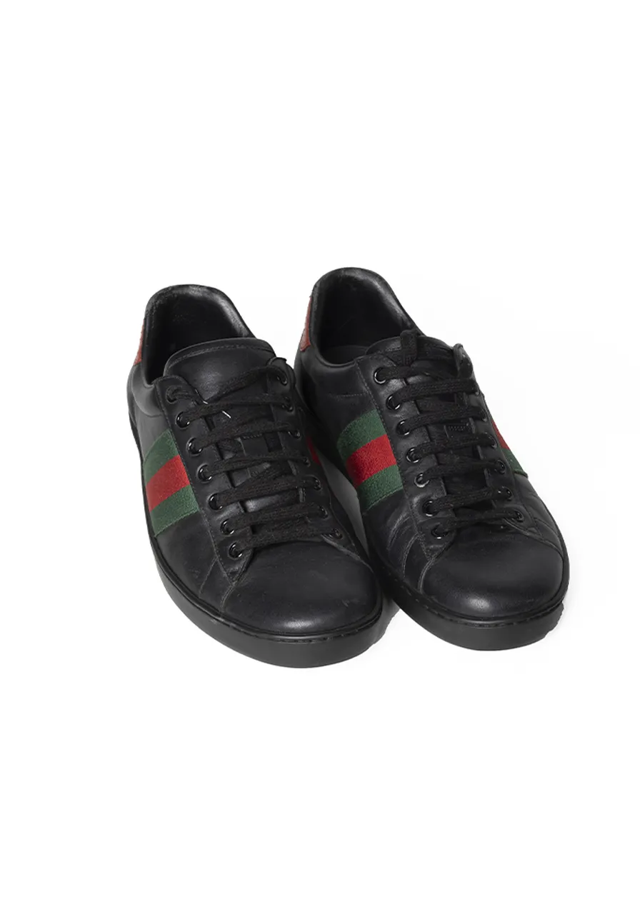 Tênis Gucci Web 