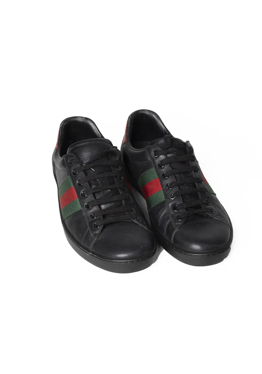 Tênis Gucci Web 