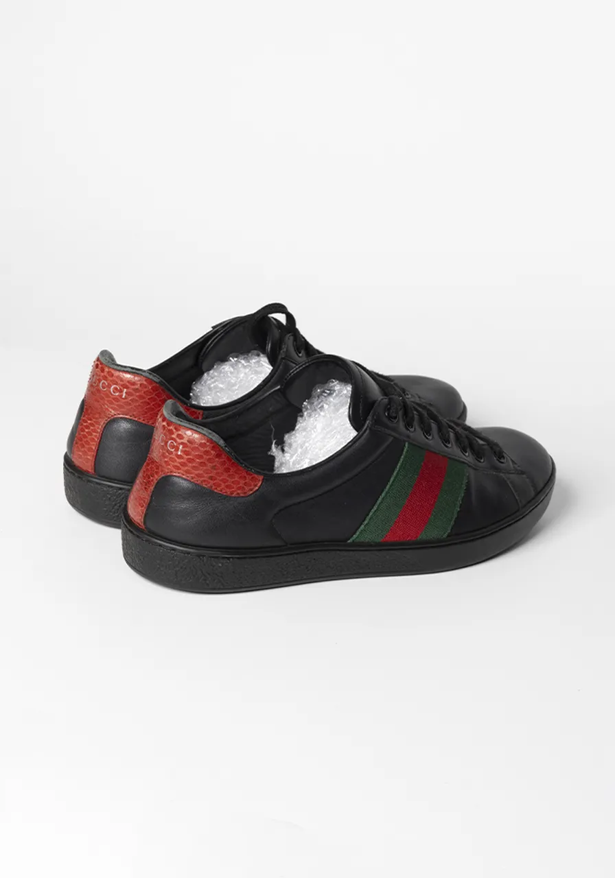Tênis Gucci Web 